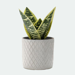 Artificial potted plant