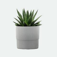 Artificial potted plant