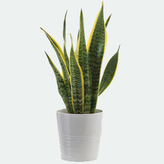 Artificial potted plant