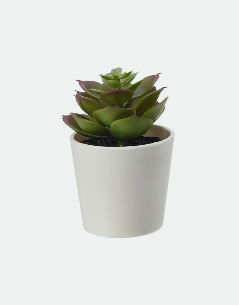 Fejka artificial plant