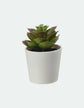 Fejka artificial plant