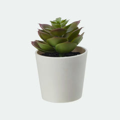 Fejka artificial plant