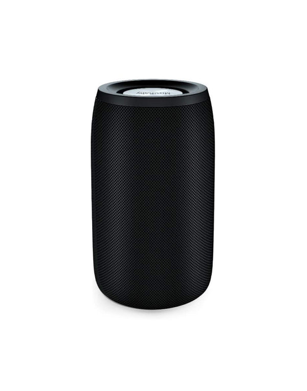 Wireless speaker dual pairing bluetooth 5.0