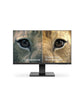 Business computer monitor full HD
