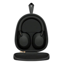 Link headphone WiFi 6 mesh