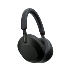 Link headphone WiFi 6 mesh