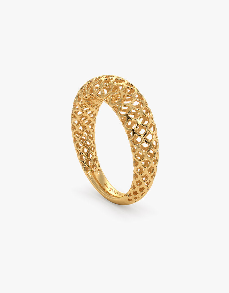 The fianna ring