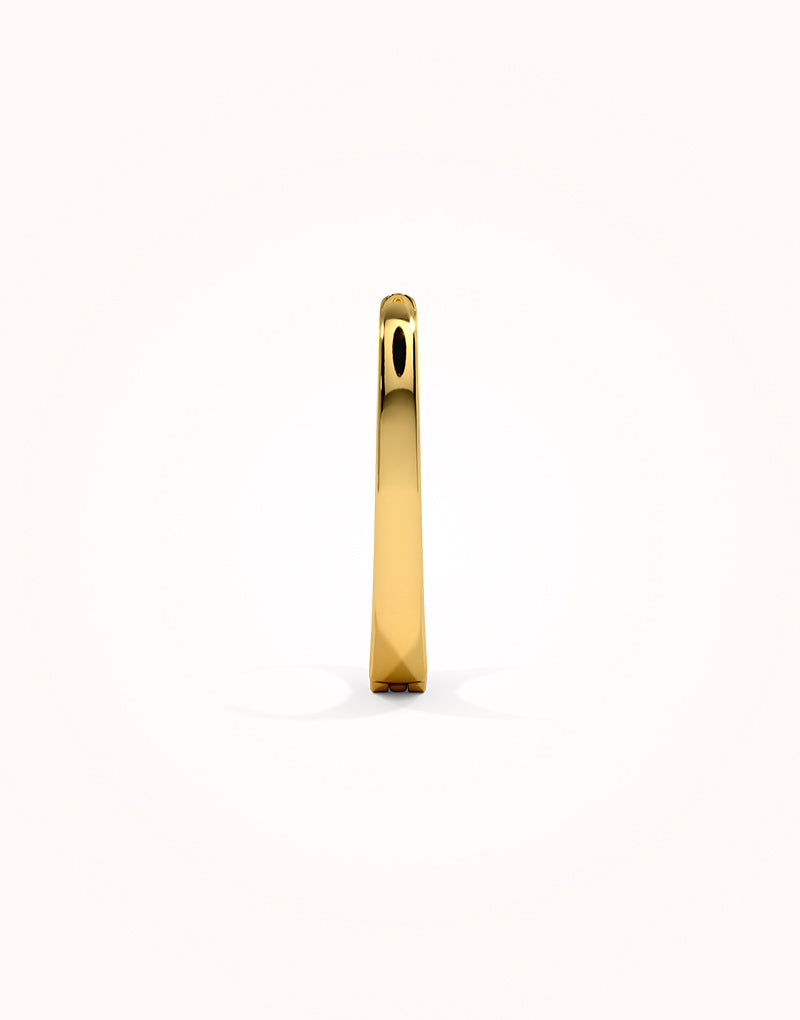 Adney hoop earrings