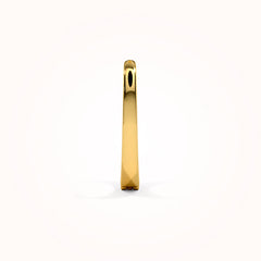 Adney hoop earrings