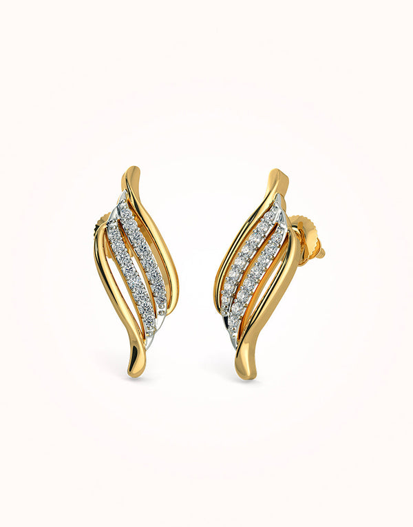 The ruon earrings